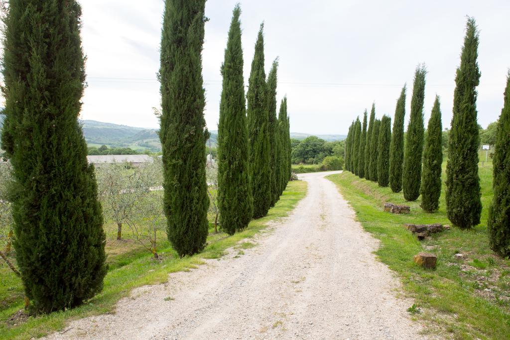Podere Il Tigliolo 卡斯蒂戈隆·多尔希亚 外观 照片