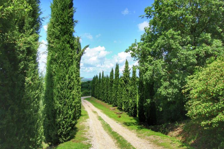 Podere Il Tigliolo 卡斯蒂戈隆·多尔希亚 外观 照片